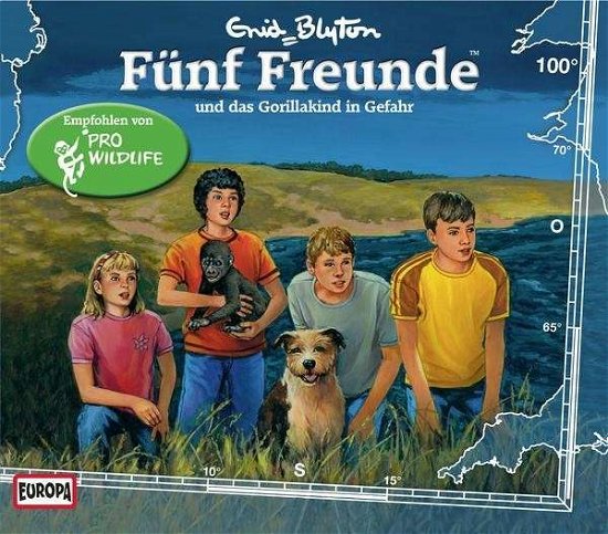 Cover for FÜnf Freunde · 100/und Das Gorillakind in Gefahr (CD) (2013)