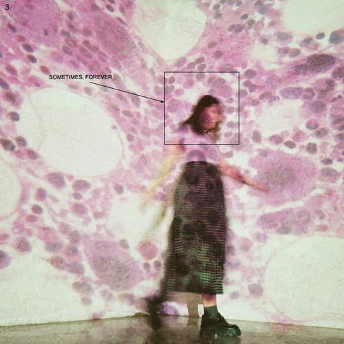 Cover for Soccer Mommy · Sometimes, Forever (LP) (2022)