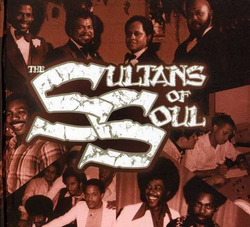 Cover for Sultans of Soul / Various (CD) [Digipak] (2012)