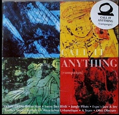 Cover for Call It Anything-v/a (CD) (2013)