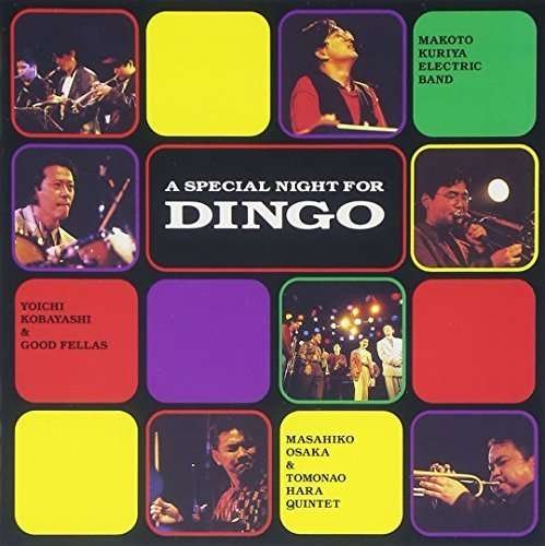 Cover for Special Night for Dingo (CD) [Remastered edition] (2015)