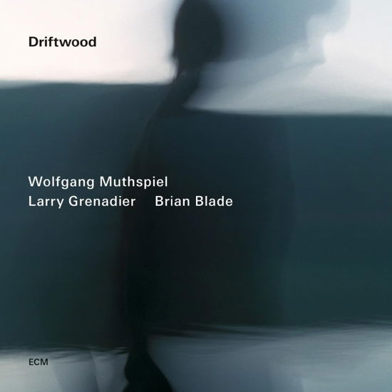 Wolfgang Muthspiel · Driftwood (CD) [Japan Import edition] (2024)