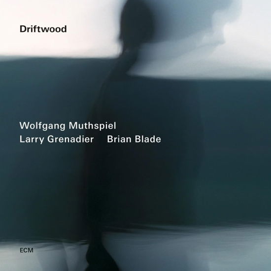 Cover for Wolfgang Muthspiel · Driftwood (CD) [Japan Import edition] (2024)