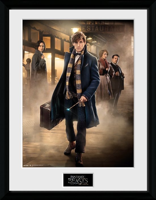 Cover for Fantastic Beasts · Fantastic Beasts: Group Stand (Stampa In Cornice 30x40 Cm) (CD)