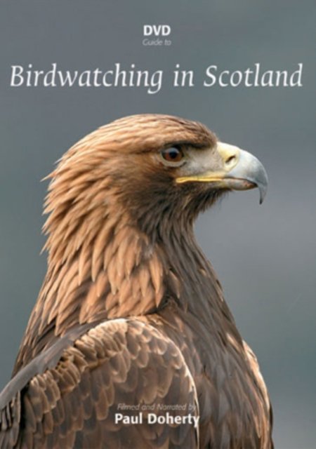 Cover for Birdwatching in Scotland · Birdwatching In Scotland (DVD) (2010)