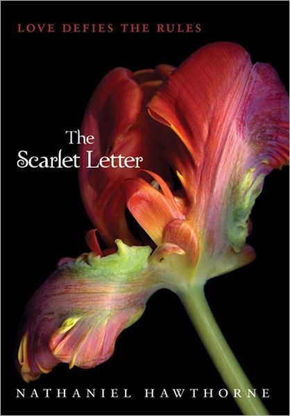 Cover for Nathaniel Hawthorne · The Scarlet Letter (Paperback Book) [First Harperteention edition] (2024)