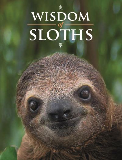 Cover for Wisdom of Sloths (Gebundenes Buch) (2024)