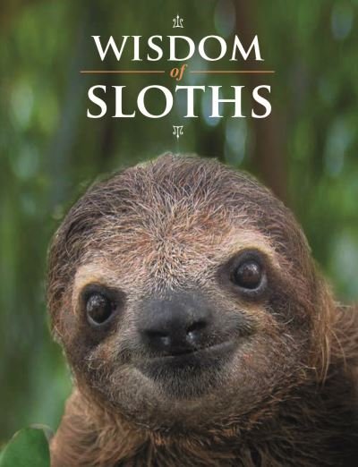 Cover for Wisdom of Sloths (Hardcover Book) (2024)