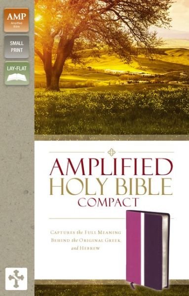 Cover for Zondervan Publishing · Amplified Holy Bible, Compact, Leathersoft, Pink / Purple: Captures the Full Meaning Behind the Original Greek and Hebrew (Leather Book) (2015)