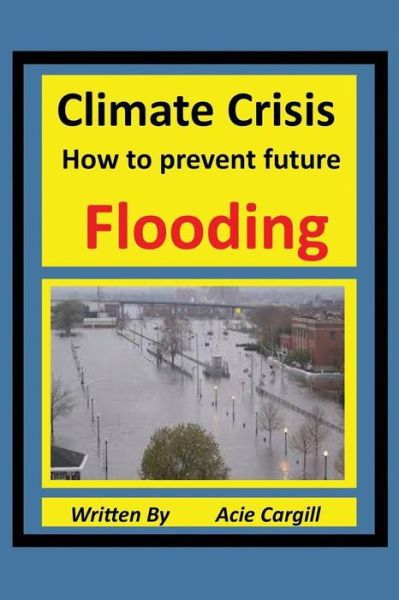 Cover for Acie Cargill · Climate Crisis A Plan to Prevent Future Flooding (Paperback Book) (2019)