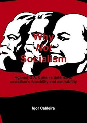 Cover for Igor Caldeira · Why Not Socialism - Against G. A. Cohen's Defence of Socialism's Feasibility and Desirability (Book) (2013)