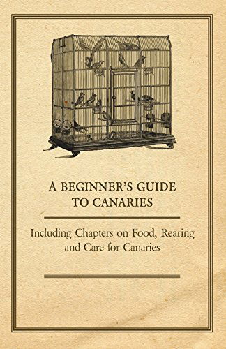 A Beginner's Guide to Canaries - Including Chapters on Food, Rearing and Care for Canaries - Anon. - Books - Mccormick Press - 9781447415022 - June 3, 2011