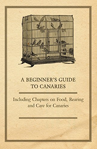 Cover for Anon. · A Beginner's Guide to Canaries - Including Chapters on Food, Rearing and Care for Canaries (Paperback Book) (2011)