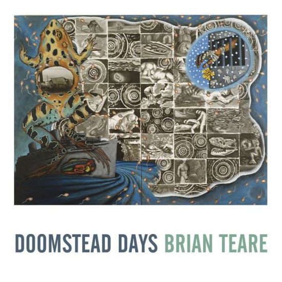 Cover for Brian Teare · Doomstead Days (Paperback Book) (2019)