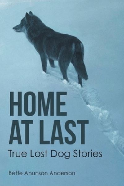 Cover for Bette Anunson Anderson · Home at last: True Lost Dog Stories (Paperback Book) (2019)
