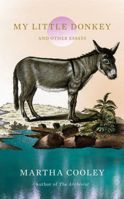 Cover for Martha Cooley · My Little Donkey: And Other Essays (Paperback Book) (2025)