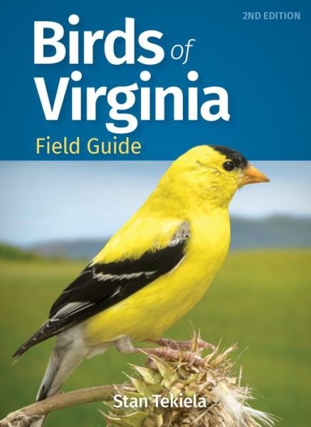 Cover for Stan Tekiela · Birds of Virginia Field Guide - Bird Identification Guides (Paperback Bog) [2 Revised edition] (2021)