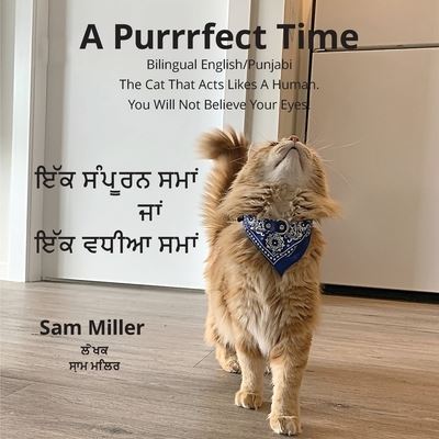 Cover for Armed Bandit Publishing · ??? ?????? ???? ??? ??? ???? ???? - A Purrrfect Time (Paperback Book) (2022)