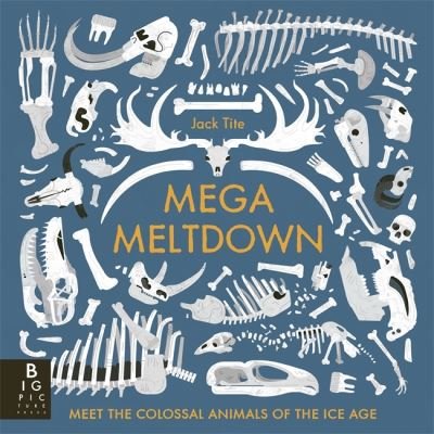 Cover for Jack Tite · Mega Meltdown (Paperback Book) (2024)