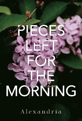 Alexandria · Pieces Left for the Morning (Paperback Book) (2024)