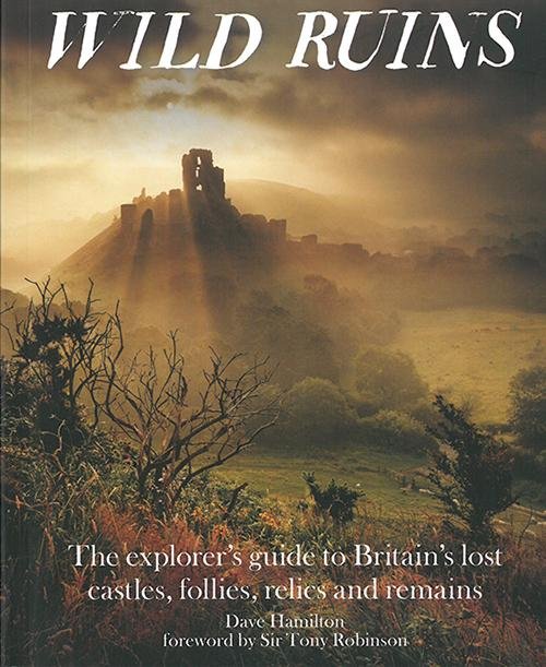 Cover for Dave Hamilton · Wild Ruins: The Explorer's Guide to Britain Lost Castles, Follies, Relics and Remains (Paperback Bog) (2015)