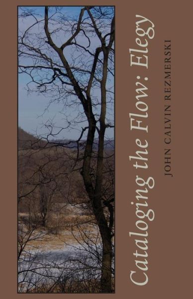 Cover for Cataloging the Flow: Elegy (Paperback Book) (2016)