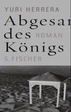 Cover for Yuri Herrera · Abgesang des Königs (Gebundenes Buch) (2011)