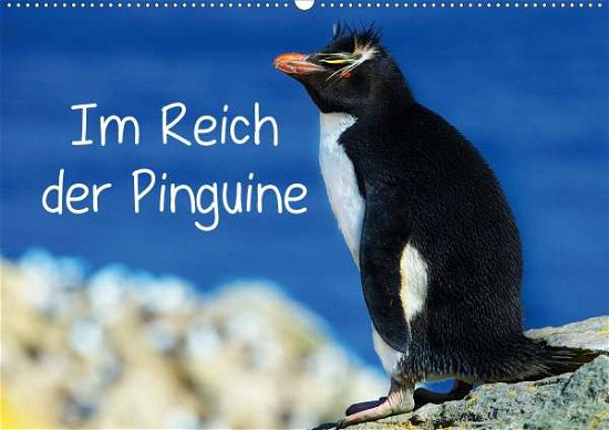 Im Reich der Pinguine (Wandkalend - Pfaff - Bøker -  - 9783671955022 - 