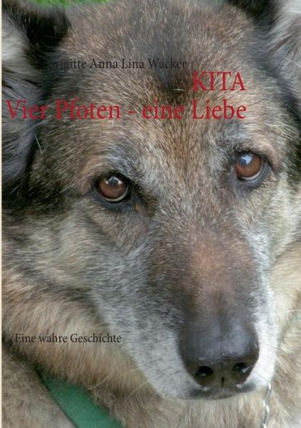 Cover for Brigitte Anna Lina Wacker · Kita (Paperback Book) [German edition] (2013)