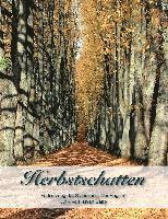 Cover for Sabo · Herbstschatten (Book)