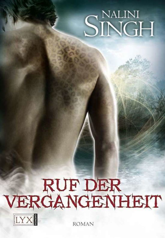 Cover for S. Singh · Ruf der Vergangenheit (Book)