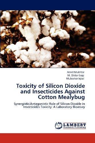 Cover for Mubashar Iqbal · Toxicity of Silicon Dioxide and Insecticides Against Cotton Mealybug: Synergistic / Antagonistic Role of Silicon Dioxide in Insecticides Toxicity: a Laboratory Bioassay (Paperback Book) (2012)