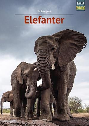 Cover for Per Østergaard · Fakta Max: Elefanter (Gebundenes Buch) [1. Ausgabe] (2021)
