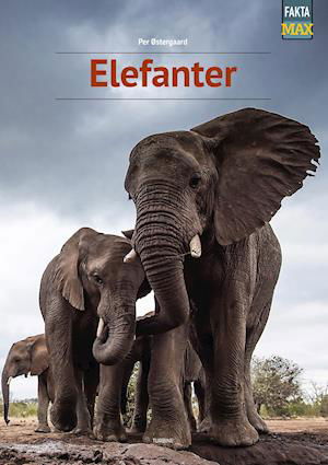 Fakta Max: Elefanter - Per Østergaard - Böcker - Turbine - 9788740672022 - 2 juni 2021
