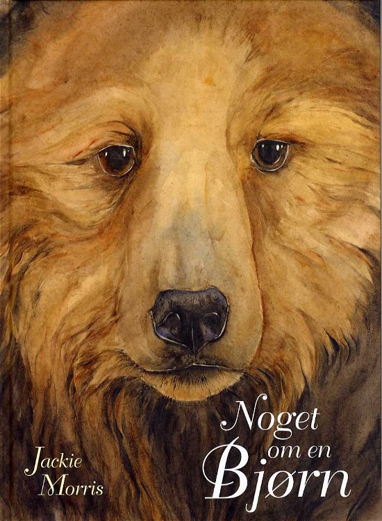 Cover for Jackie Morris · Noget om en  Bjørn (Inbunden Bok) [1:a utgåva] (2014)
