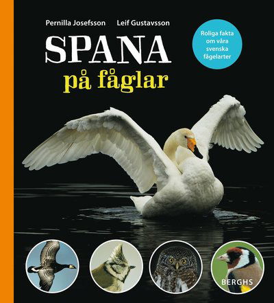 Cover for Leif Gustavsson · Spana på fåglar (Indbundet Bog) (2015)