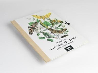 Cover for Pepin Van Roojen · Natural History: Art Portfolio (Innbunden bok) (2020)