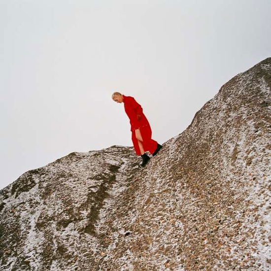 Cate Le Bon · Reward (CD) (2019)