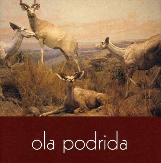 Ola Podrida - Ola Podrida - Music - PLUG RESEARCH - 0612651008023 - April 24, 2007