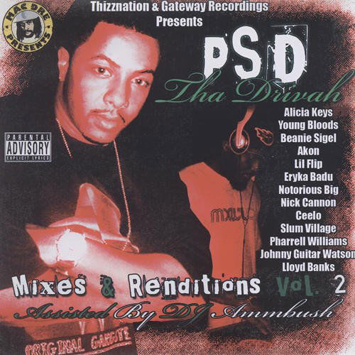 Cover for P.s.d. · Mixes &amp; Renditions 2 (CD) (2010)