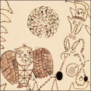 Rejoicing In The Hands - Devendra Banhart - Muzyka - XL - 0634904018023 - 20 maja 2004