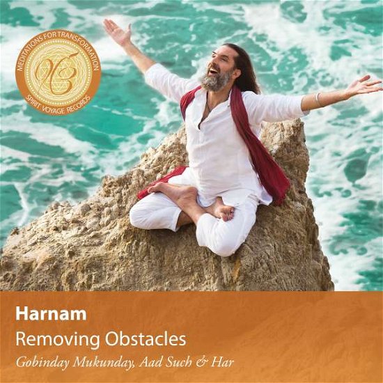 Cover for Harnam · Removing Obstacles (CD) (2017)
