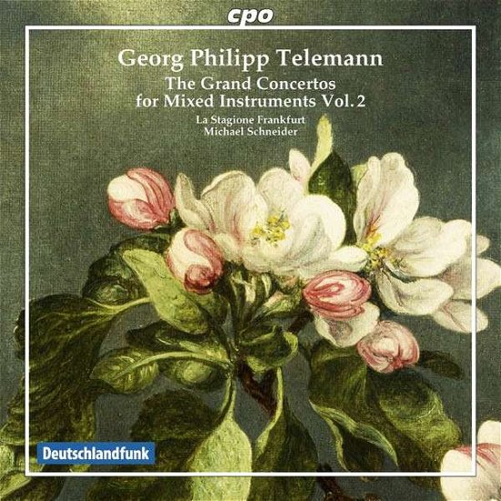 Grand Concertos for Mixed Instruments 2 - Telemann / La Stagione Frankfurt / Schneider - Música - CPO - 0761203789023 - 14 de abril de 2015