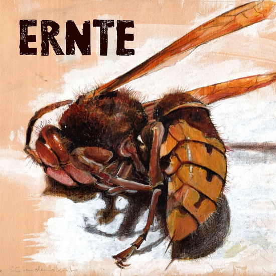 Ernte (Digipak-cd) - Ernte - Music - Aldinger, Werner - 0767522985023 - June 21, 2024