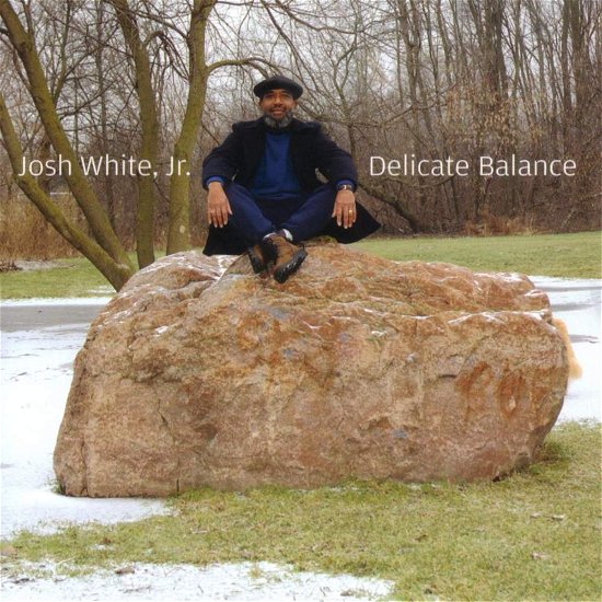 Delicate Balance - Josh White Jr. - Musik - SILVERWOLF RECO - 0787991107023 - 23. Oktober 2012