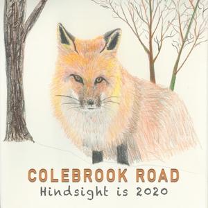 Cover for Colebrook Road · Colebrook Road - Hindsight Is 2020 (CD) (2021)