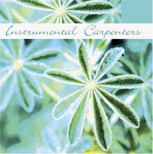 Instrumental Carpenters - Instrumental Carpenters - Musik - FABULOUS - 0824046021023 - 6. Juni 2011