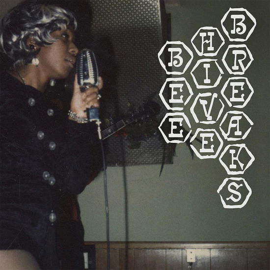 Cover for Beehive Breaks / Various · Beehive Breaks (LP) (2024)