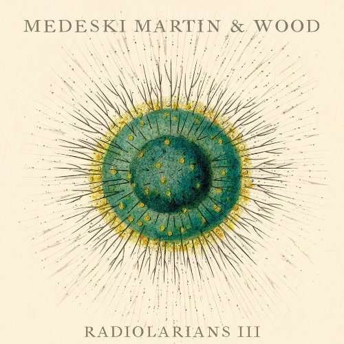 Radiolarians Lii - Medeski Martin - Muziek - JAZZ - 0891817009023 - 13 juli 2009