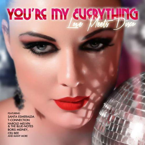 Cover for You're My Everything: Love Mee (CD) (2014)
